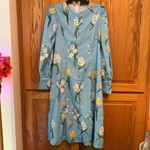 Vintage Sky Blue Floral Dress